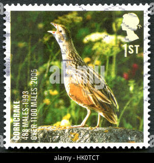 GREAT BRITAIN - CIRCA 2005: A used postage stamp from the UK, depicting an image of a Corncrake, circa 2005. Stock Photo