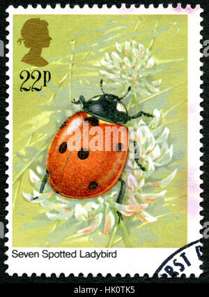GREAT BRITAIN - CIRCA 1985: A used postage stamp from the UK, depicting an illustration of a Seven Spotted Ladybird, circa 1985. Stock Photo