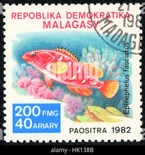 A postage  stamp printed in Republic Malagasy shows a  Fish Epinephelus fasciatus,   1982 Stock Photo