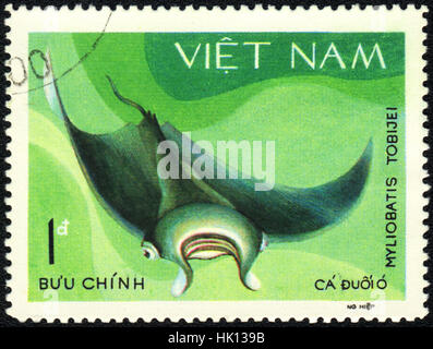 A postage stamp printed in VIETNAM shows a Fish Myliobatis tobijei,  series, circa 1980 Stock Photo