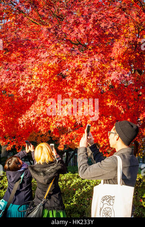 People taking photos, in Zojoji Temple, Tokyo, Japan Stock Photo