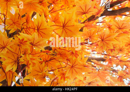 Orange Maple Leaves Pattern Background Stock Photo