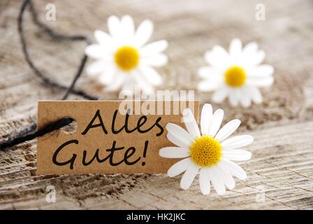 a natural looking banner the german words Alles Gute,w hich meands best wishes and white blossoms as background Stock Photo