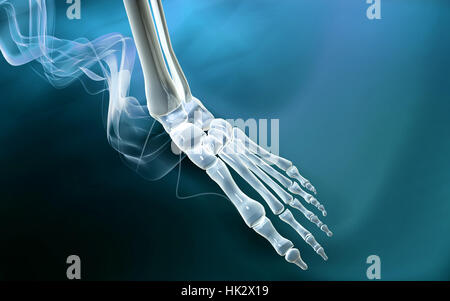 blue, object, education, medicinally, medical, graphics, colour, science, Stock Photo