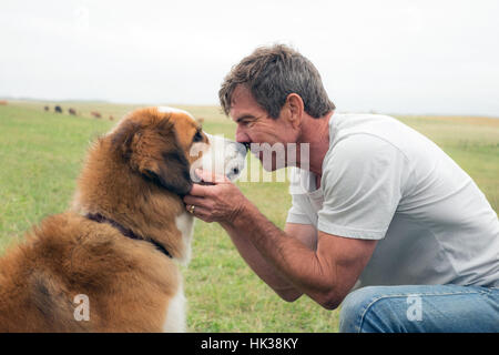 A Dog's Purpose is an upcoming American comedy-drama film directed by Lasse Hallström and written by W. Bruce Cameron, Cathryn Michon, Audrey Wells, Maya Forbes and Wallace Wolodarsky, based on the 2010 novel of the same name by Cameron. The film stars Britt Robertson, K. J. Apa, John Ortiz, Dennis Quaid and Josh Gad.  This photograph is for editorial use only and is the copyright of the film company and/or the photographer assigned by the film or production company and can only be reproduced by publications in conjunction with the promotion of the above Film. A Mandatory Credit to the film co Stock Photo