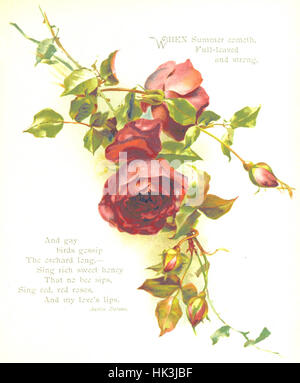 Image taken from page 15 of 'Rose Leaves. [A collection of poems on roses, with coloured illustrations.]' Image taken from page 15 of 'Rose Leaves [ Stock Photo