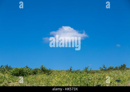 One puffy white clouds in the middle of a blue sky above a green meadow Stock Photo