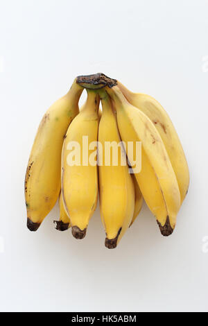 A bunch of Ducasse bananas or known as Sugar Bananas or Musa acuminata  isolated on white background Stock Photo