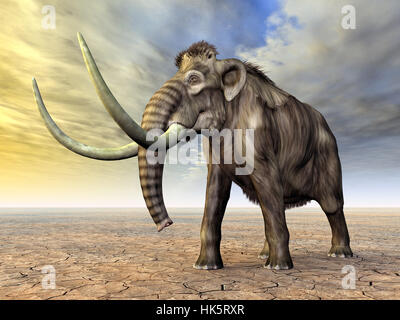 elephant, ivory, tusk, mammoth, palaeontology, big, large, enormous, extreme, Stock Photo