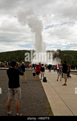 WY02208-00...WYOMING - Tourists watching an eruption of Old Faithful Geyser in Yellowstone National Park. Stock Photo