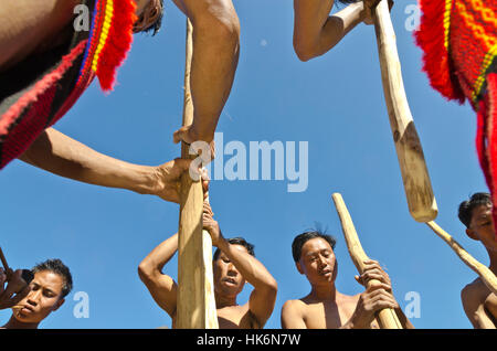Members of the Samdom-Tribe show their traditional way to crush crops at Hornbill-Festival Stock Photo