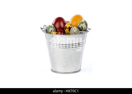 quail eggs painted for Easter in metal bucket Stock Photo