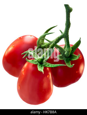 Cluster of fresh plum processing Roma VF tomatoes (Solanum lycopersicum), on vine. Clipping path, shadowless Stock Photo