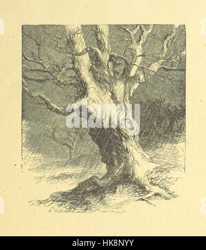 An image from 'The Illustrated Family Burns,' a collection featuring ...