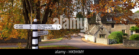 Autumn chestnut tree, Duddington village, Northamptonshire, England, UK Stock Photo