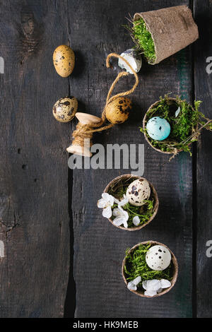 Decor colorful Easter quail eggs with spring cherry flowers, moss, spool of thread in small garden pots over old wooden background. Dark rustic style. Stock Photo