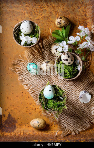 Decor colorful Easter quail eggs with spring cherry flowers and moss in small garden pots on sackcloth over rusty metal background. Dark rustic style. Stock Photo