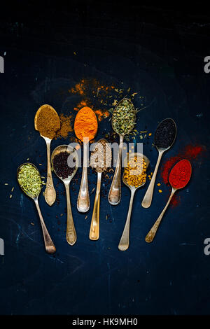 Indian Spices in Spoons Stock Photo