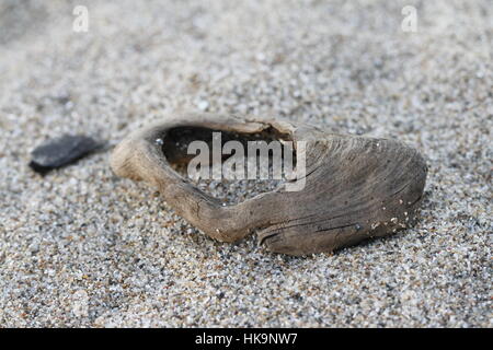 Close up of a small piece of driftwood on a sandy beach in Southampton Stock Photo
