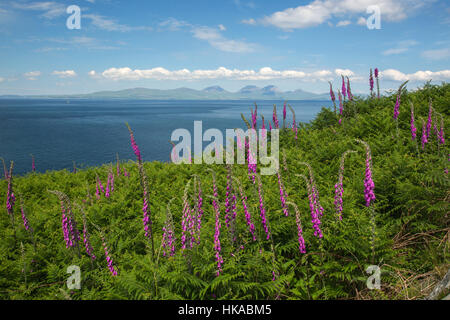 Looking out to the Isle of Jura from the Isle of Gigha, Scotland Stock Photo