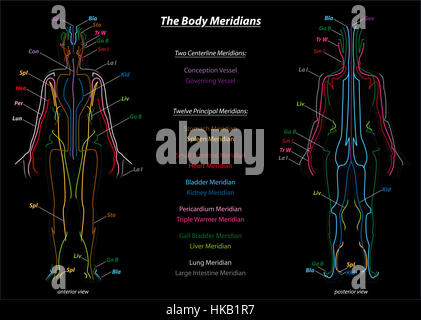 Body Meridians Chart Woman Flow Direction Stock Photo: 133333491 - Alamy