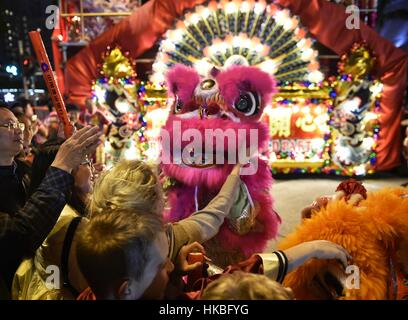 hong kong during chinese new year