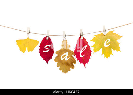 clothespins on the rope holding autumn leaves on a white background Stock Photo