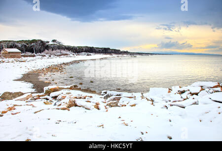 Beach bay and pine trees covered by snow on mediterranean sea in winter. Tuscany, Italy Stock Photo