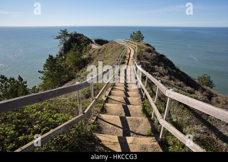 Stairs leading down to the Muir Beach overlook in northern California. Stock Photo