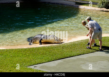 Crocodile Show - Australia Zoo Stock Photo