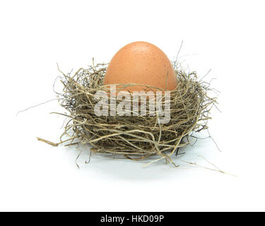 A bird nest filled with a large hen's egg viewed from above on a white ...