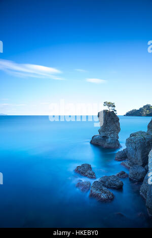 Portofino natural regional park. Lonely pine tree rock and coastal cliff beach. Long exposure photography. Liguria, Italy Stock Photo