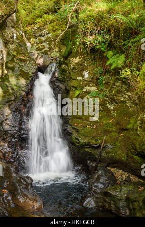 Waterfalls in Wood of Cree, near Newton Stewart, Dumfries & Galloway, Scotland Stock Photo