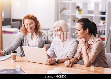 Hardworking involved colleagues collaborating in the office Stock Photo