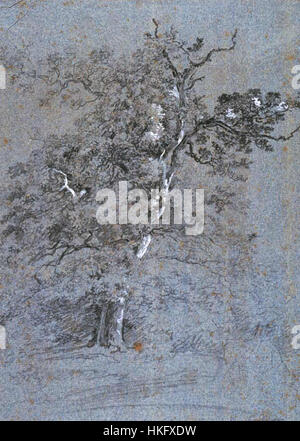 *Dillis Baumstudie 1820* is a detailed study of trees, painted in the early 19th century by the artist Dillis. The work focuses on the natural form of trees, capturing their structure, texture, and relationship with the surrounding environment. Stock Photo