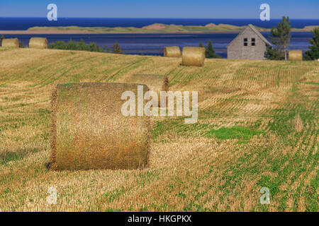 Bales of hay or straw along the ocean in rural Prince Edward Island ...