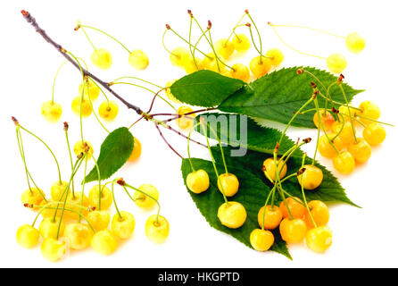 White cherries Stock Photo