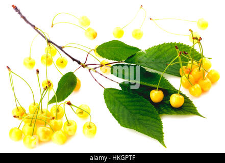 White cherries Stock Photo