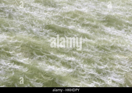 Intentional camera movement taken of bluebells to give an abstract or artistic image Stock Photo