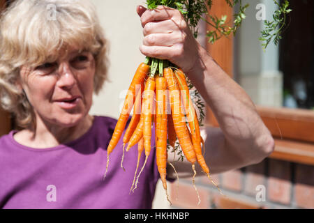 A fistful of carrots Stock Photo