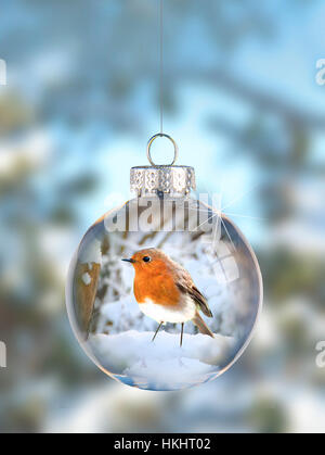 Robin set in bauble with space at top for copy. Stock Photo