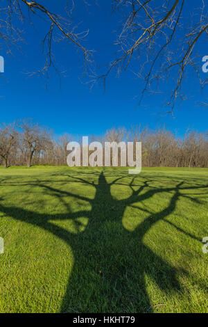 Tree shadows crossing the landscape of the Mound City Group, Hopewell Culture National Historical Park, Ohio, USA Stock Photo