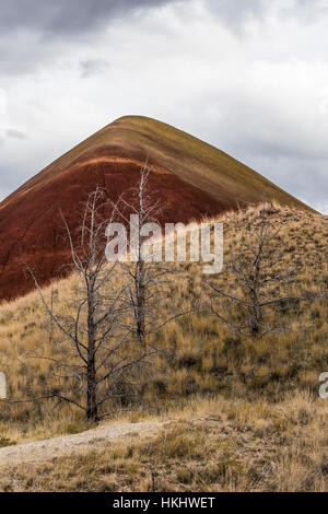Dead Western Junipers, Juniperus occidentalis, fire-killed in the Painted Hills, John Day Fossil Beds National Monument, Oregon Stock Photo