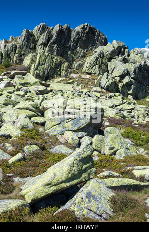 Violik (Labsky Szczyt) hill in Krkonose mountains, Czech Republic, Bohemia, EU, Europe. Stock Photo