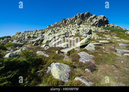 Violik (Labsky Szczyt) hill in Krkonose mountains, Czech Republic, Bohemia, EU, Europe. Stock Photo