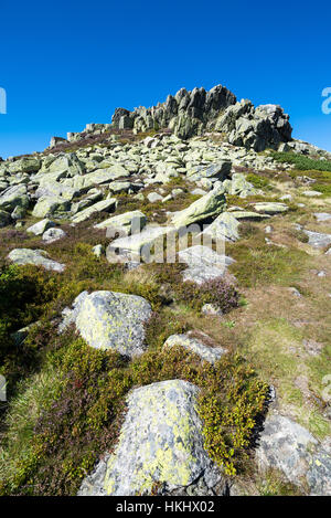 Violik (Labsky Szczyt) hill in Krkonose mountains, Czech Republic, Bohemia, EU, Europe. Stock Photo