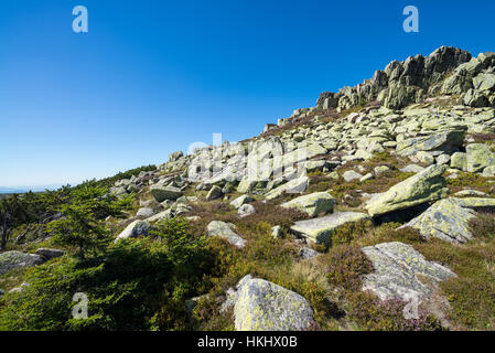 Violik (Labsky Szczyt) hill in Krkonose mountains, Czech Republic, Bohemia, EU, Europe. Stock Photo