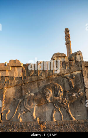 Bas-relief of a lion devouring a bull on the Southern Staircase of the Palace of Darius I (Tachara), Persepolis; Fars Province, Iran Stock Photo