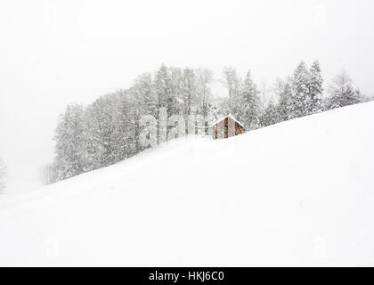 Mountain hut in front of winter forest, dense snowfall, Hittisau, Bregenz Forest, Vorarlberg, Austria Stock Photo