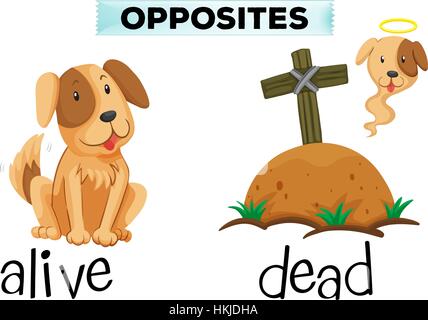 Opposite Word For Alive And Dead Illustration Royalty Free SVG, Cliparts,  Vectors, and Stock Illustration. Image 71260664.